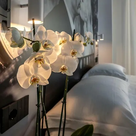 Ξενοδοχείο με διαμερίσματα Filmare Ριτσιόνε